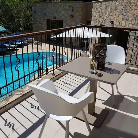 Bodrum Aqouss Soe Villa فيلة بودروم